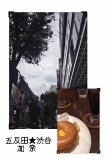 image1.jpeg