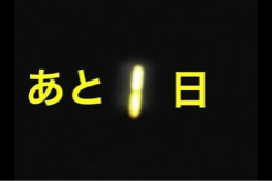 11月最終日！！きっとみつかる素敵な素人奥様☆彡