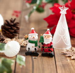 メリークリスマス☆彡