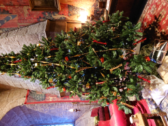 クリスマスイヴ♪